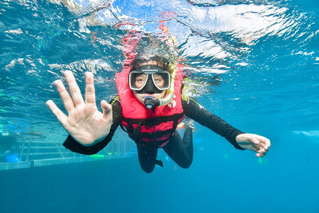Wetsuit-lycra-reef-magic